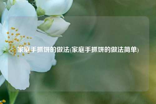 家庭手抓饼的做法(家庭手抓饼的做法简单)